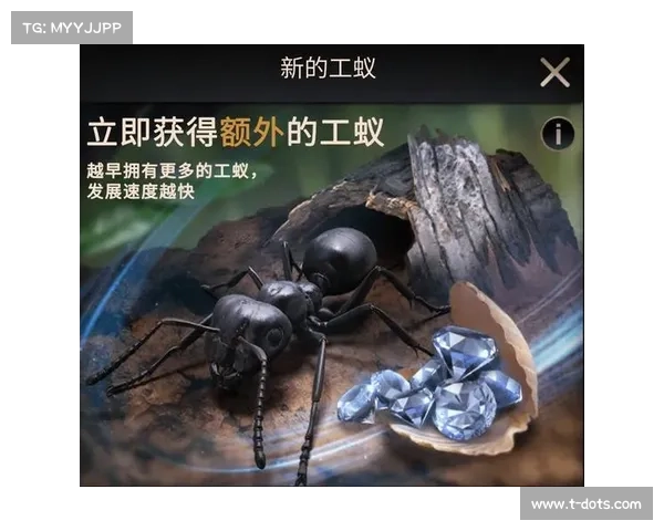 《全面解析策略新游核心玩法及关键胜利策略》 《全面解析策略新游核心玩法及关键胜利策略》