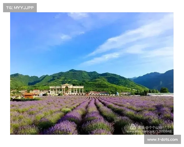 天台爱情下载的五个必备理由让你轻松感受浪漫与温暖 天台爱情下载的五个必备理由让你轻松感受浪漫与温暖