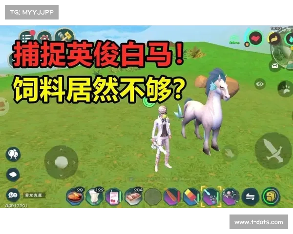 揭开英俊白马的神秘面纱探索骑士之路的荣耀与挑战 揭开英俊白马的神秘面纱探索骑士之路的荣耀与挑战