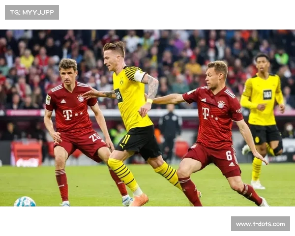 拜仁慕尼黑体育场五大知名名称背后的秘密与故事解析